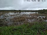 Laguna Pequea de los Perales. 