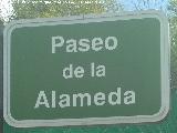 Paseo de la Alameda. Placa