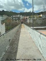 Puente Colgante sobre el Ro Guadalquivir. 