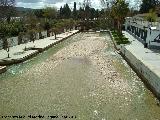 Playa Artificial del Aguascebas. 