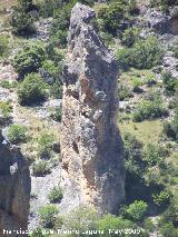 Caon de Pitillos. Formacin de piedra caliza