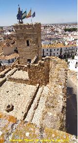 Alc�zar de la Puerta de Sevilla. Desde la Torre del Oro