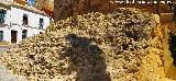Alc�zar de la Puerta de Sevilla. Roca madre