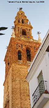 Iglesia de San Pedro. Campanario