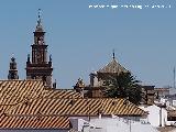 Iglesia Prioral de Santa Mar�a de la Asunci�n. Desde el Alc�zar de la Puerta de Sevilla