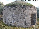 Caracol Labriego. 