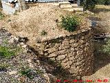 Caracol de la Terraza de los Prietos. 