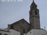 Iglesia de la Asuncin. 