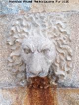 Fuente de la Calle Granadillos. Cabeza de len