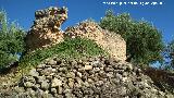 Castillo de Mogn. 