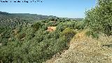 Castillo de Mogn. Monte del castillo