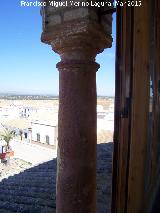 Casa del Conde de la Quintera. Columna