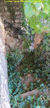 Cortijo de la Torre. Escaleras