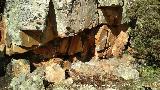 Pinturas rupestres del Arroyo del Chortal III. Abrigo