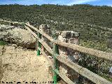 Mirador de la Cimbarra. 