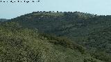 Piedras Blancas