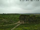 Castillo de Barcience. Vistas