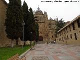 Catedrales de Salamanca. Desde el Patio Chico