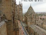 Catedrales de Salamanca. Cubiertas