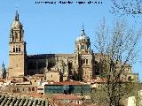 Catedrales de Salamanca. 