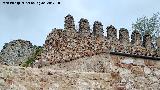 Muralla de Salamanca. El nico tramo que conserva sus almenas