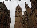 Catedral Vieja. Torre de las Campanas. Desde los tejados