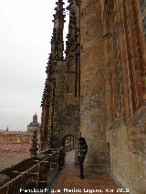 Catedral Nueva. Fachada Principal. Terraza