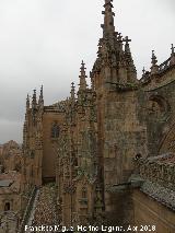 Catedral Nueva. Agujas