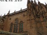 Catedral Nueva. Ventana