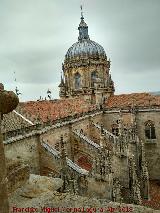 Catedral Nueva. Tejados