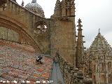 Catedral Nueva. Tejado