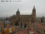 Catedral Nueva. Desde la Clereca