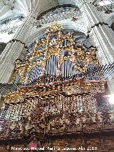 Catedral Nueva. rgano del Evangelio. 