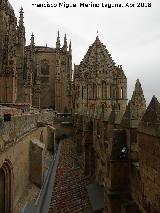 Catedral Vieja. Pasarela hacia la Torre del Gallo. 