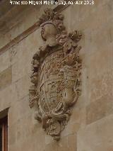 Palacio de los Villafuerte. Escudo