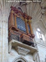 Convento de San Esteban. rgano. 