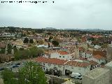 San Martn de Valdeiglesias. Desde el Castillo