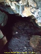 Cueva de El Mansegoso. 