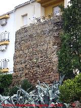Muralla del Alczar. 