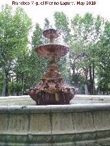 Fuente de la Plaza Coln. 