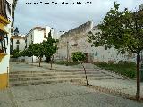 Calle Vicente Blasco Ibez