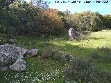 Pea de los Gitanos. Piedra hincada