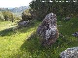 Pea de los Gitanos. Piedra hincada