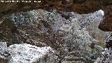 Pinturas rupestres de la Cueva Chica. Desde la cueva