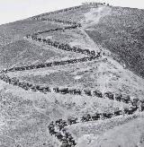 Guerra del Riff. Cargas de abastecimiento de una posicin espaola con mulas