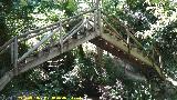 Puente de Madera Apuntado I del Cerezuelo. 