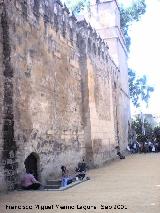 Alczar de los Reyes Catlicos. Extramuros