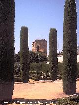 Alczar de los Reyes Catlicos. Torre defensiva del Alczar en los jardines