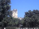Alczar de los Reyes Catlicos. Torre defensiva del Alczar en los jardines