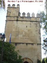 Alczar de los Reyes Catlicos. Torreon de la Puerta